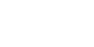 logo media force
